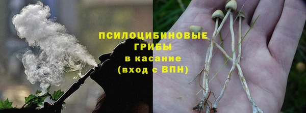 ешки Алексин