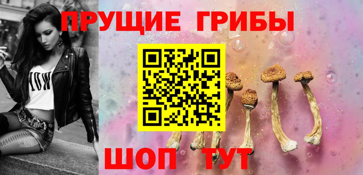 Галлюциногенные грибы мицелий  Вход с VPN  Галлюциногенные грибы GOLDEN TEACHER  где можно купить   Назрань 